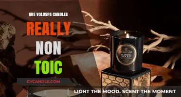 Voluspa Candles: Non-Toxic or Not?
