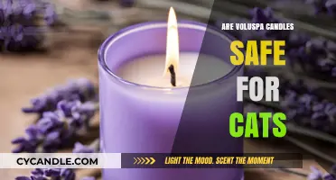 Are Voluspa Candles Cat-Safe? A Pet Owner's Guide