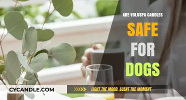 Are Voluspa Candles Pet-Safe? A Guide for Dog Owners
