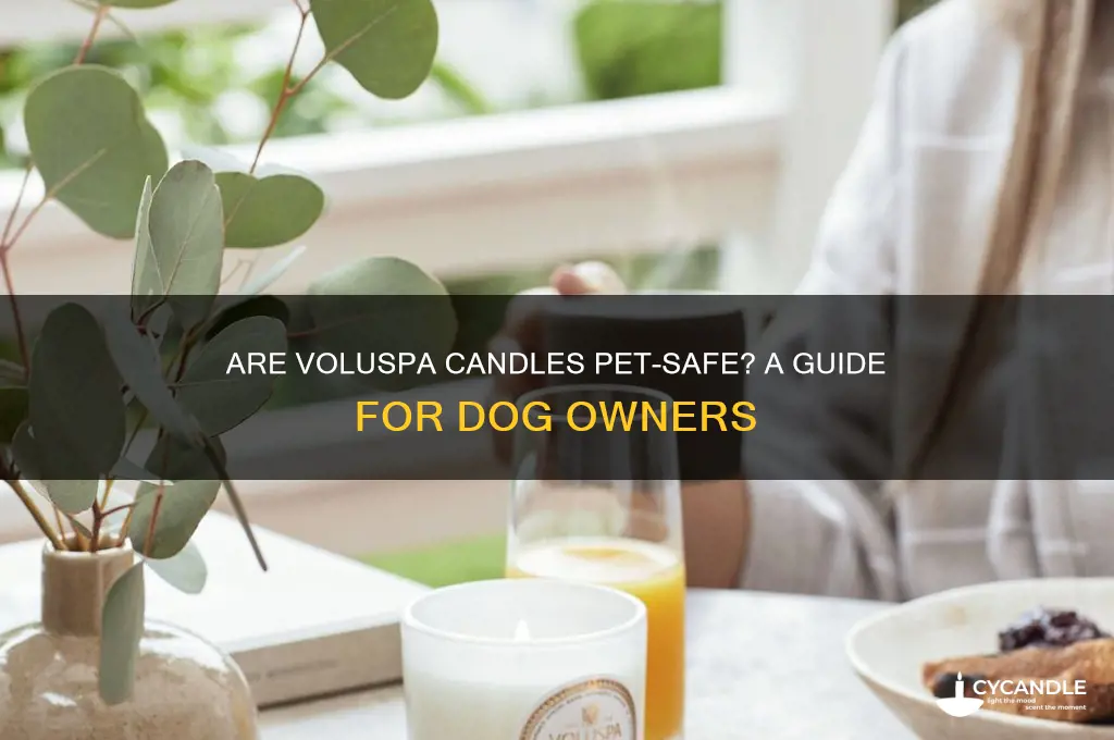 are voluspa candles safe for dogs