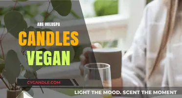 Vegan Voluspa Candles: Are They Cruelty-Free?