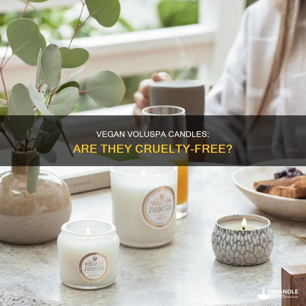 are voluspa candles vegan