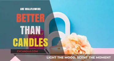Wallflowers vs. Candles: Which Is the Better Scented Option?