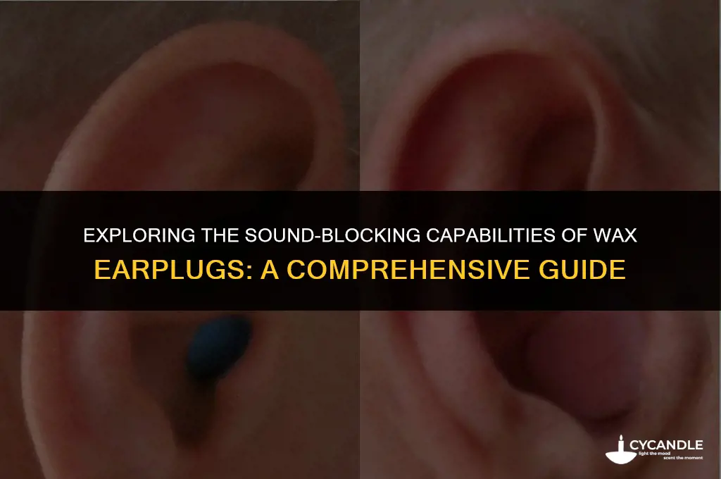 are wax earplugs db