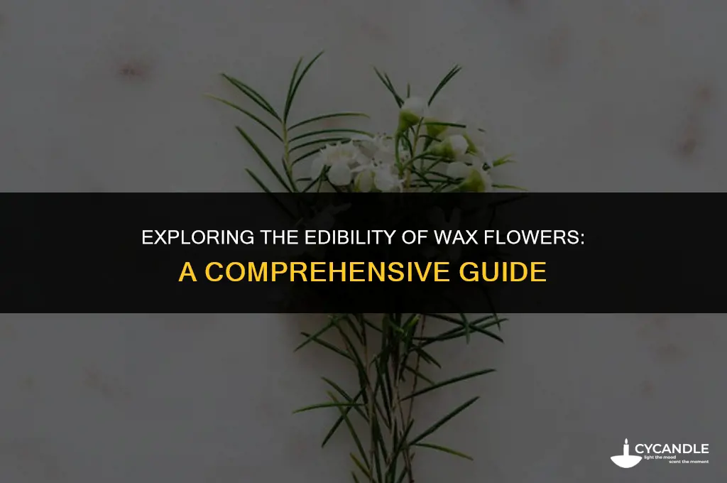 are wax flowers edible