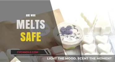 Unveiling the Truth: Are Wax Melts Safe for Your Home?