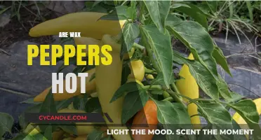 Exploring the Heat Level of Wax Peppers: A Spicy Guide