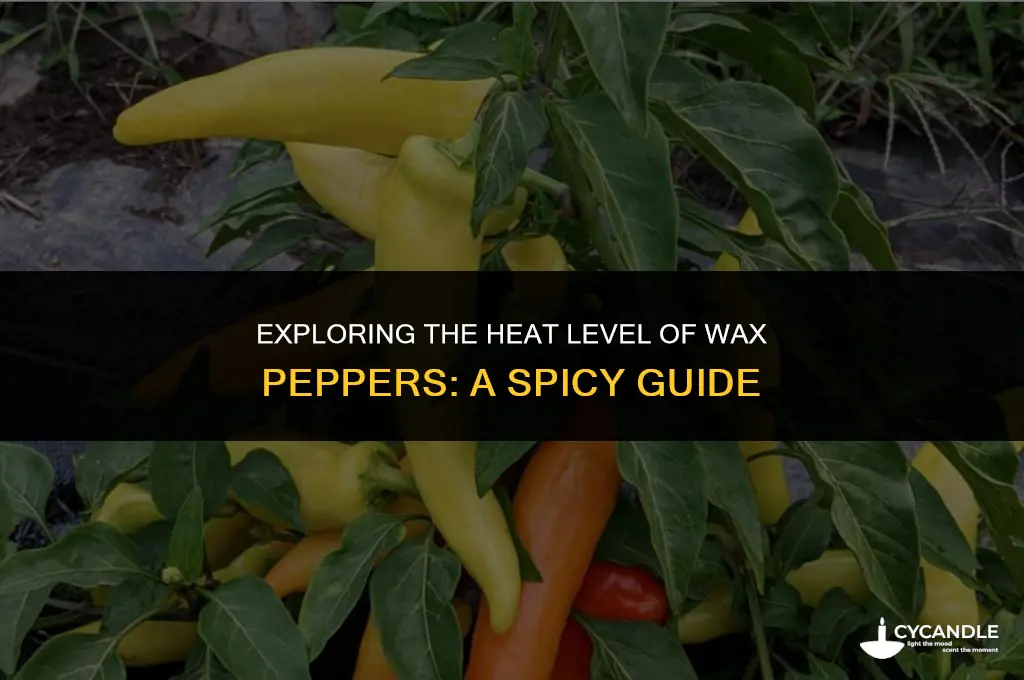 are wax peppers hot