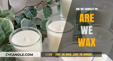 Candles or Wax: Exploring Our Purpose and Potential in Life