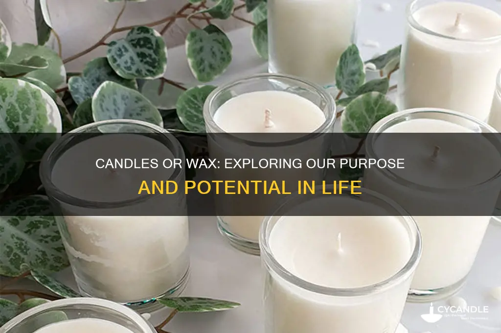 are we candles or are we wax