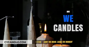 The Burning Question: Are We Just Like Candles?