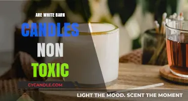 White Barn Candles: Non-Toxic and Safe?