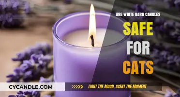 Are White Barn Candles Cat-Safe? A Pet Owner's Guide