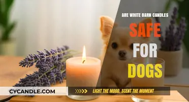 Are White Barn Candles Safe for Dogs? A Pet Owner's Guide