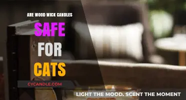 Wood Wick Candles and Cats: Safety Tips for Pet Owners