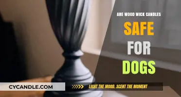 Wood Wick Candles and Dogs: Safety Tips for Pet Owners