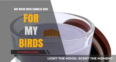 Wood Wick Candles and Birds: Ensuring a Safe Environment for Your Pets