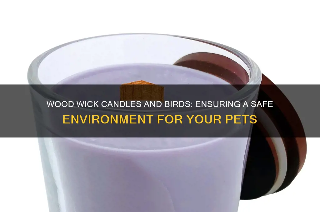 are wood wick candles safe for my birds