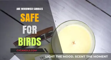 WoodWick Candles and Birds: Ensuring a Safe Environment for Pets