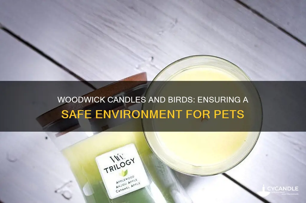 are woodwick candles safe for birds