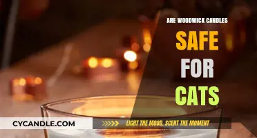 Are WoodWick Candles Cat-Safe? A Pet Owner's Guide