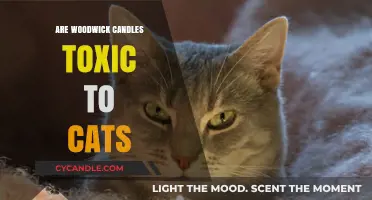 Woodwick Candles: Are They Safe for Cats?