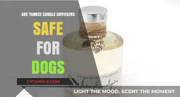Are Yankee Candle Diffusers Safe for Dogs? A Pet-Friendly Guide