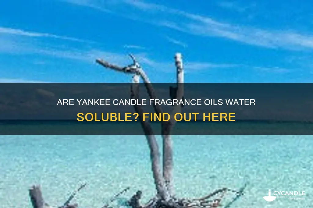 are yankee candle frangrance oils water soluble