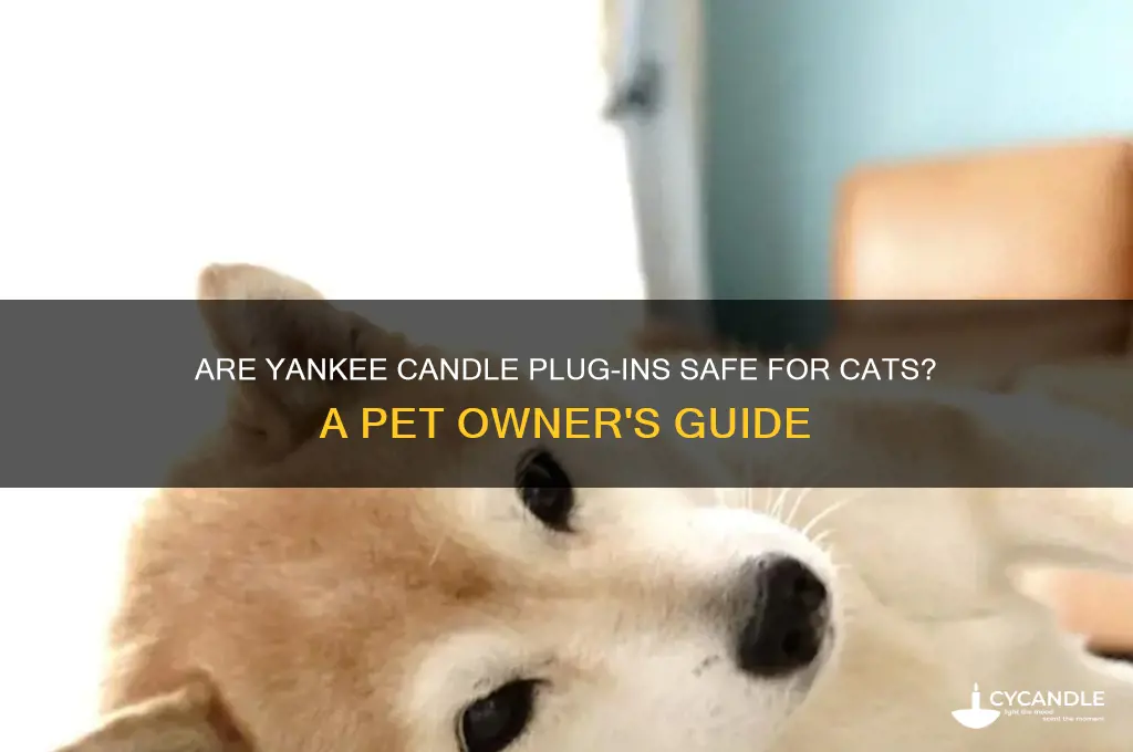 are yankee candle plug ins safe for cats
