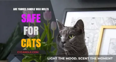Are Yankee Candle Wax Melts Safe for Cats? Find Out Now