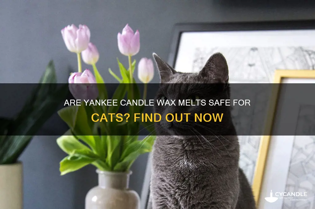 are yankee candle wax melts safe for cats