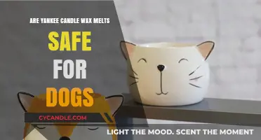 Are Yankee Candle Wax Melts Dog-Safe? A Pet Owner's Guide