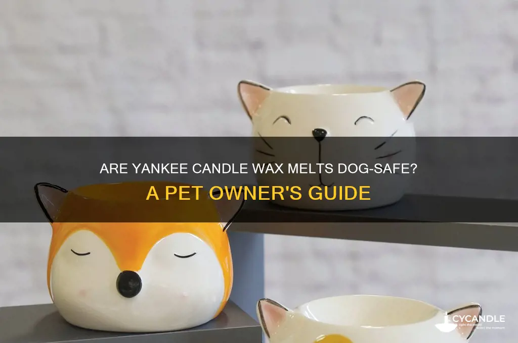 are yankee candle wax melts safe for dogs