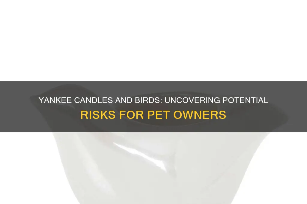 are yankee candles bad for birds