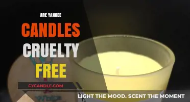 Are Yankee Candles Cruelty-Free? A Comprehensive Brand Analysis