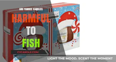 Are Yankee Candles Harmful to Fish? Uncovering the Truth