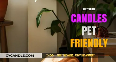 Are Yankee Candles Pet-Friendly? A Safety Guide for Pet Owners