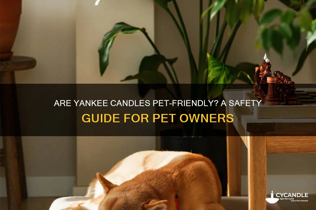 are yankee candles pet friendly