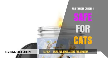 Are Yankee Candles Safe for Cats? A Pet Owner's Guide