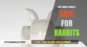 Are Yankee Candles Safe for Rabbits? A Pet Owner's Guide