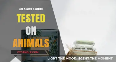 Are Yankee Candles Cruelty-Free? Animal Testing Concerns Explained