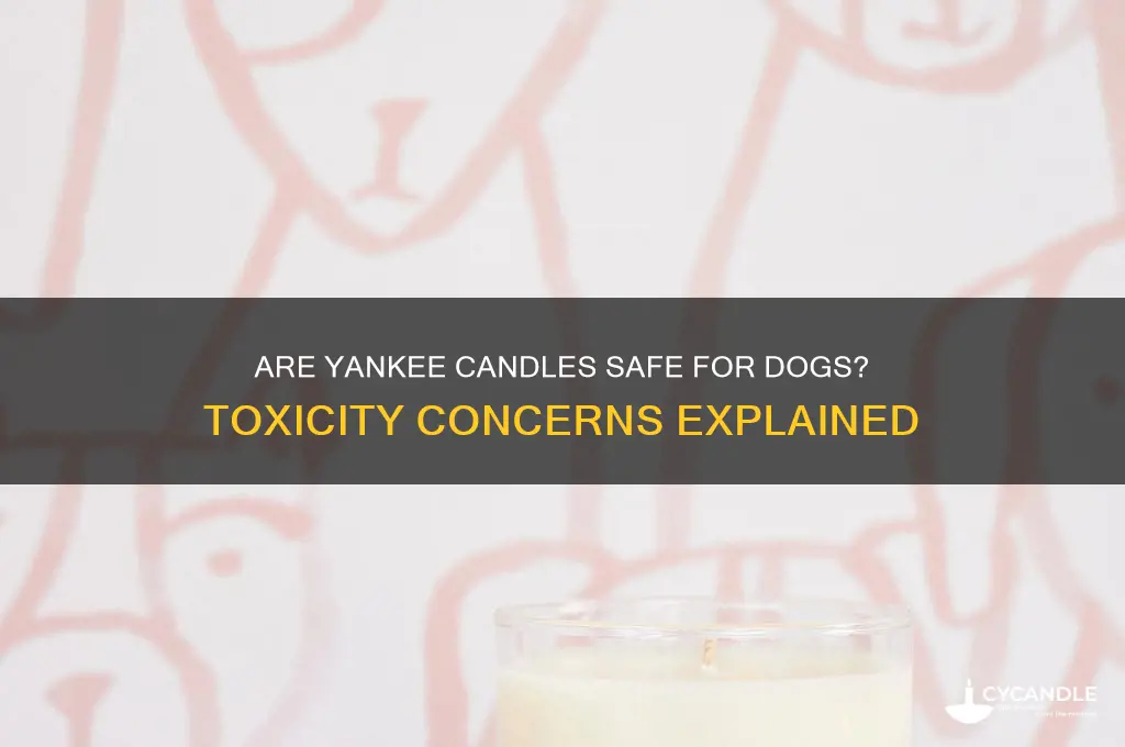 are yankee candles toxic to dogs