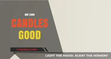 Zara Candles: Are They Worth the Hype?