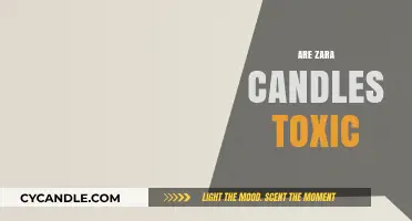 Zara Candles: Are They Toxic?