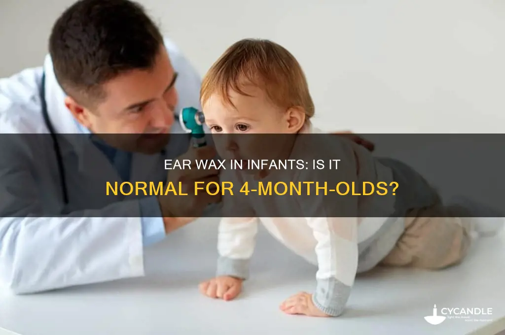 can 4 month old have ear wax