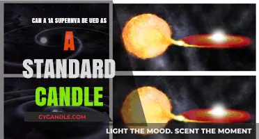 Using Type Ia Supernovae as Cosmic Standard Candles: Possibilities and Limits