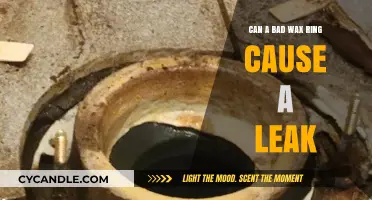 Can a Faulty Wax Ring Lead to Toilet Leaks?