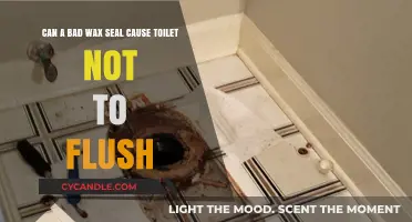 Bad Wax Seal: The Hidden Culprit Behind Toilet Flushing Issues?