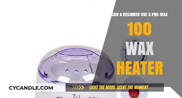 Pro-Wax 100 Wax Heater: Beginner-Friendly or Pro-Only Tool?