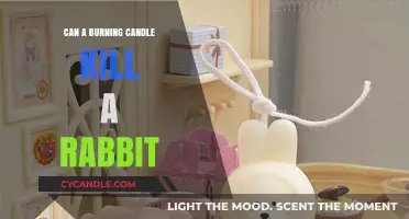 Candle Safety for Rabbits: Potential Dangers and Prevention Tips